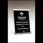 Custom glass award plaque with engraved Memorial Healthcare logo and recognition text.